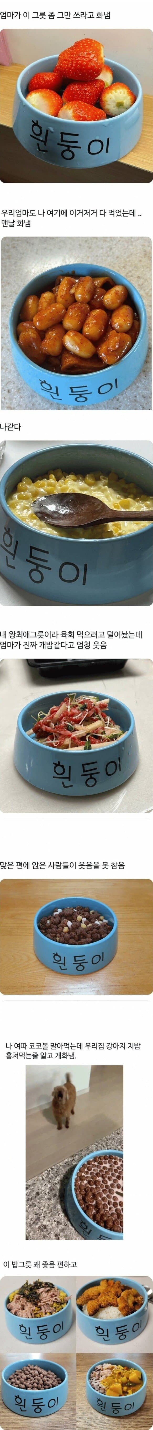 부모 속터지는 자식 밥그릇. jpg