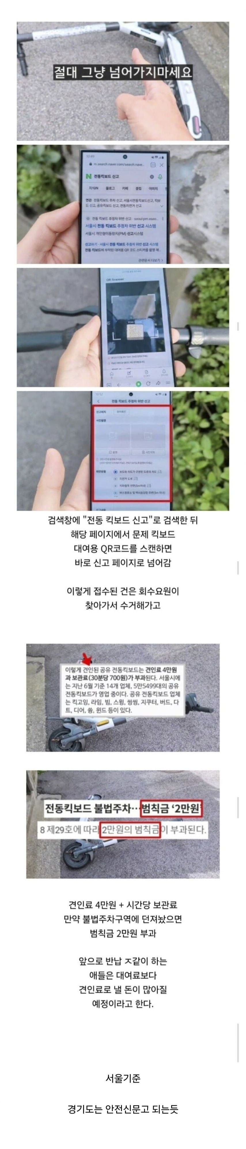 대여 전동 킥보드 길바닥에 던져놓은 거 신고하는 방법