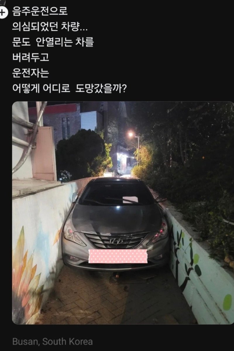 소나타 차주 어떻게 내렸죠?