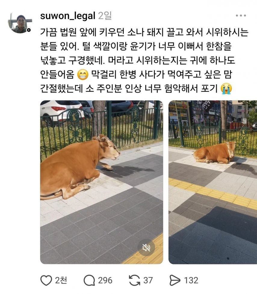 변호사가 법원 앞에서 한참을 구경하는것