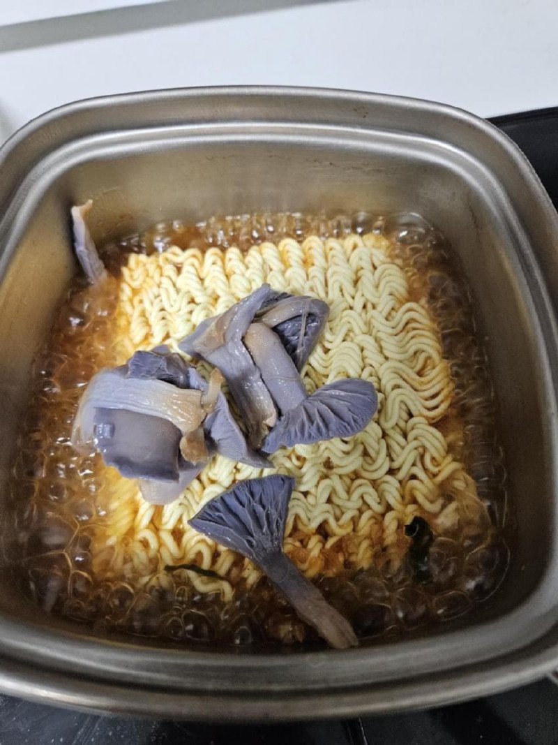 보라색 버섯을 넣고 라면 끓인 사람