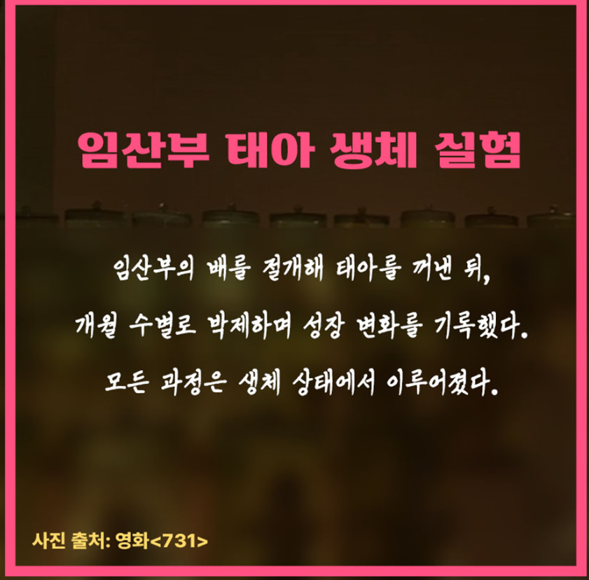 인스타에서 본 일본 추천 약들 실체