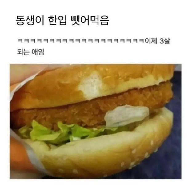 귀여운 한입