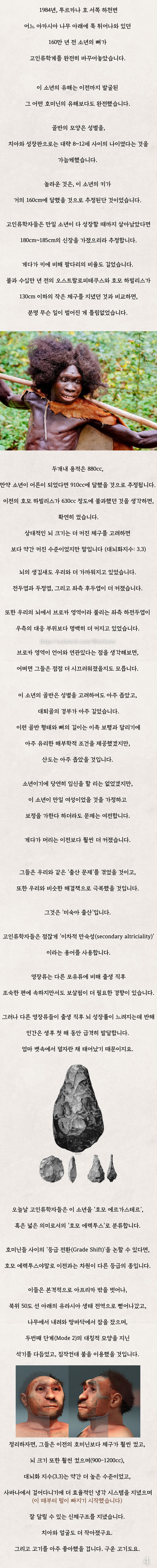 인류4) 옛날 사람들은 서로를 요리 재료로 봤을까?