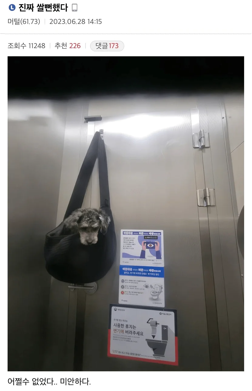 댕댕이랑 산책하다가 화장실이 급했던 견주 근황