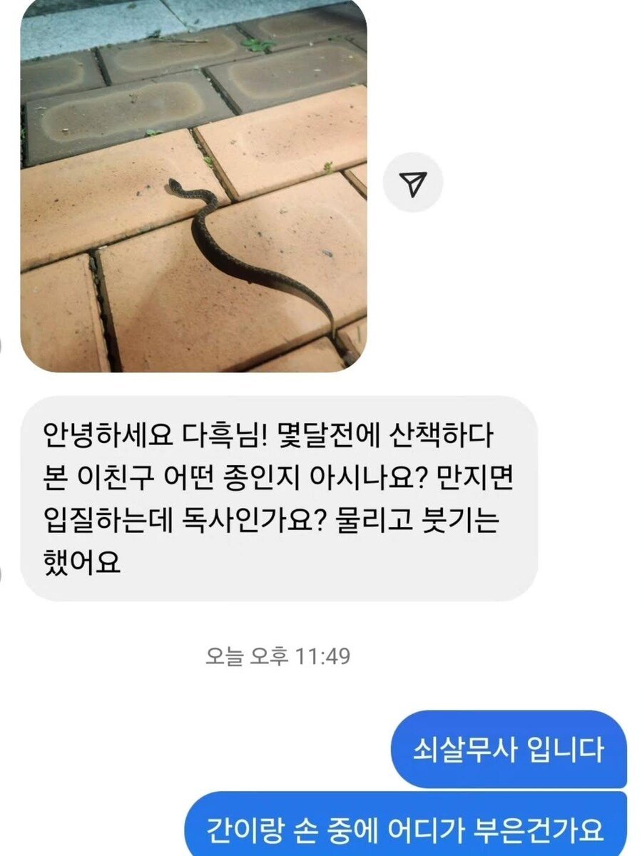 오늘자 파충류 유튜버 구독자 레전드