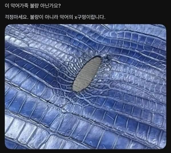 악어가죽 이거 불량 아닌가요?