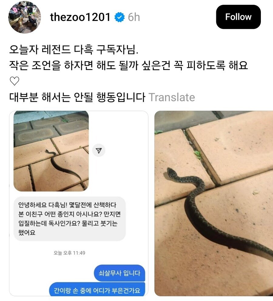 오늘자 파충류 유튜버 구독자 레전드