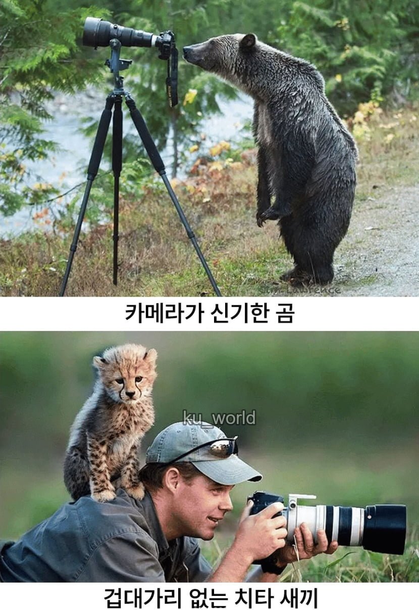 싱글벙글 동물다큐 촬영현장