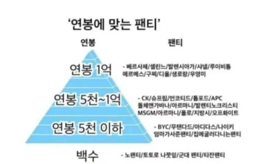 연봉에 맞는 팬티