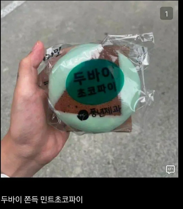 두바이에 미친 대한민국 근황