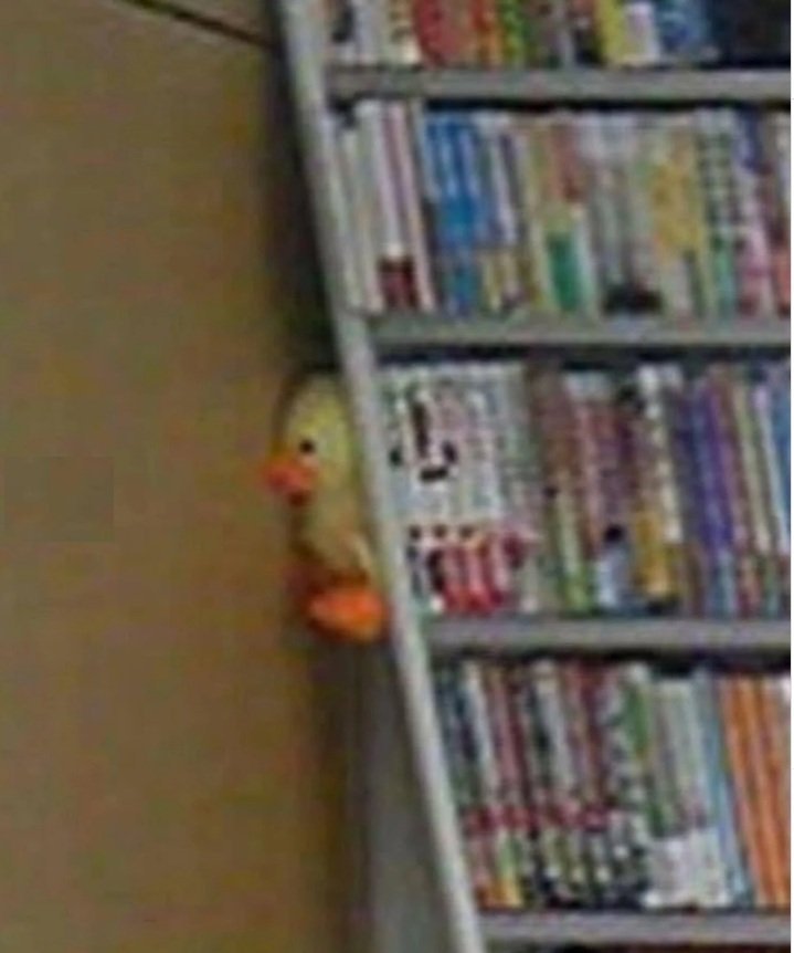 야 내가 버티고 있을게