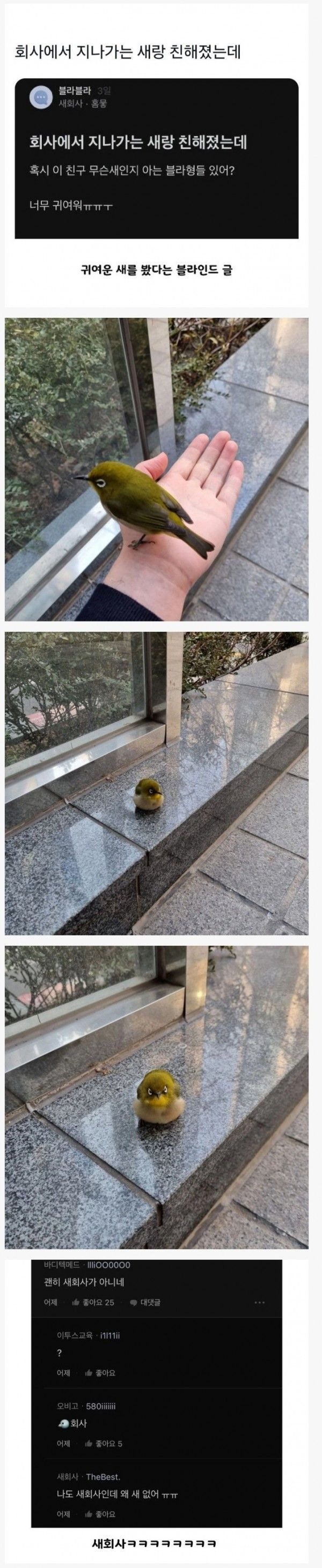 블라인드 새회사가 새회사인 이유