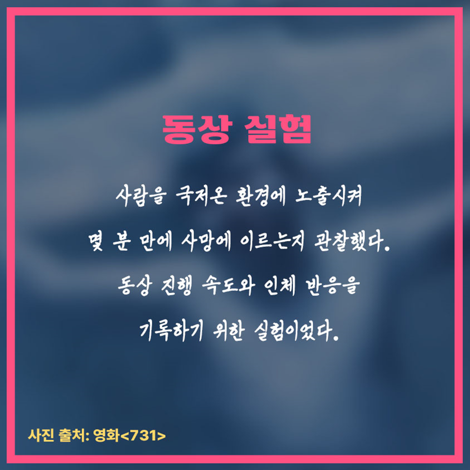 인스타에서 본 일본 추천 약들 실체