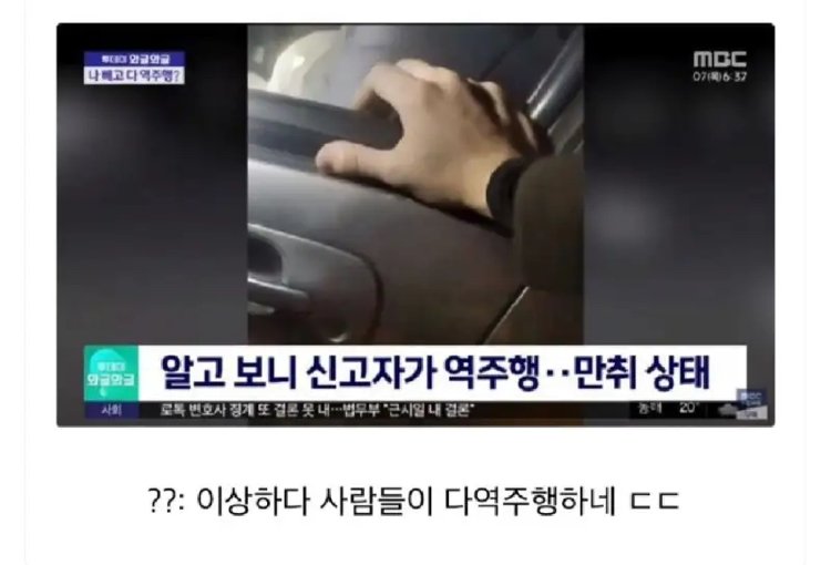 사람들이 다 역주행 하길래 경찰에 신고