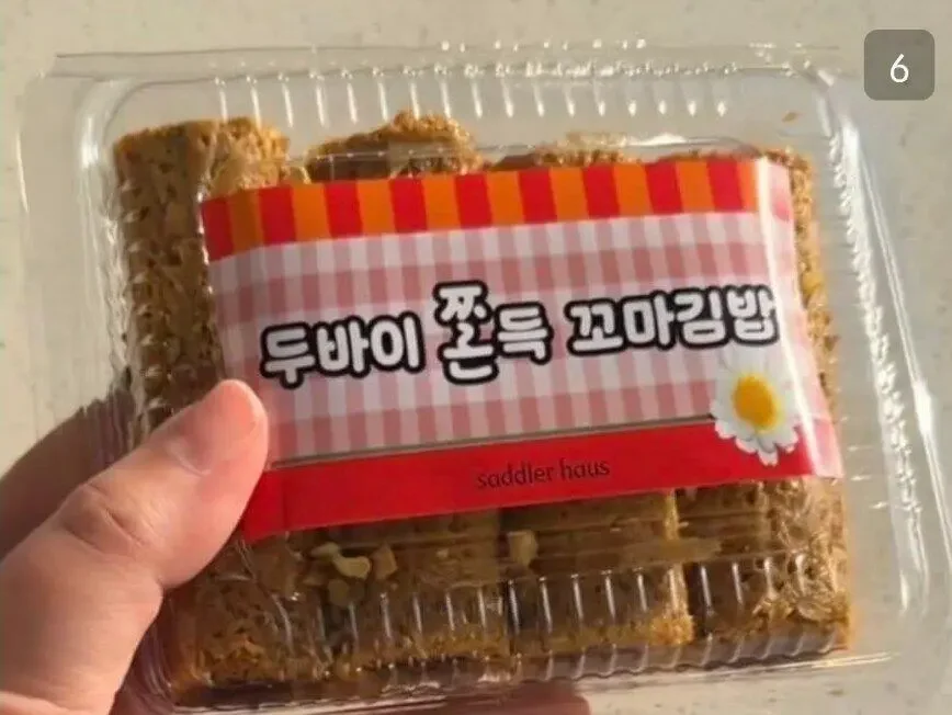 두바이에 미친 대한민국 근황