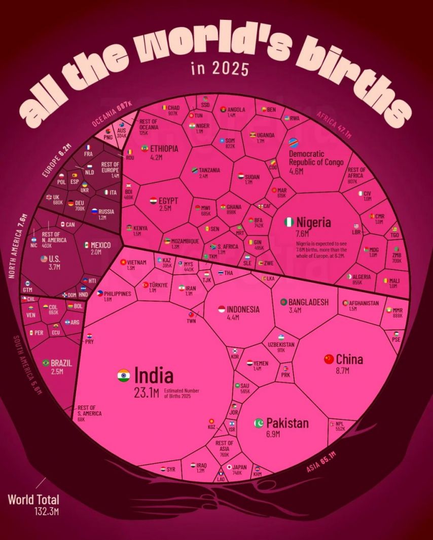 2025년 세계 출생아 수 입니다