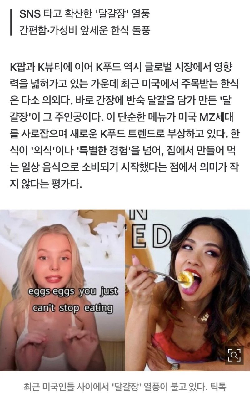미국 계란장 열풍중