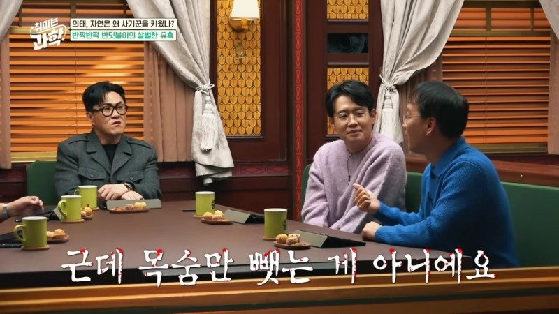 암컷 흉내로 수컷을 유인하는 종족