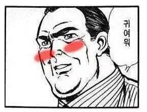 예쁘게 미용한 댕댕이