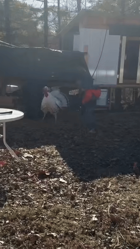 귀싸대기 맞고 우는 소년 gif