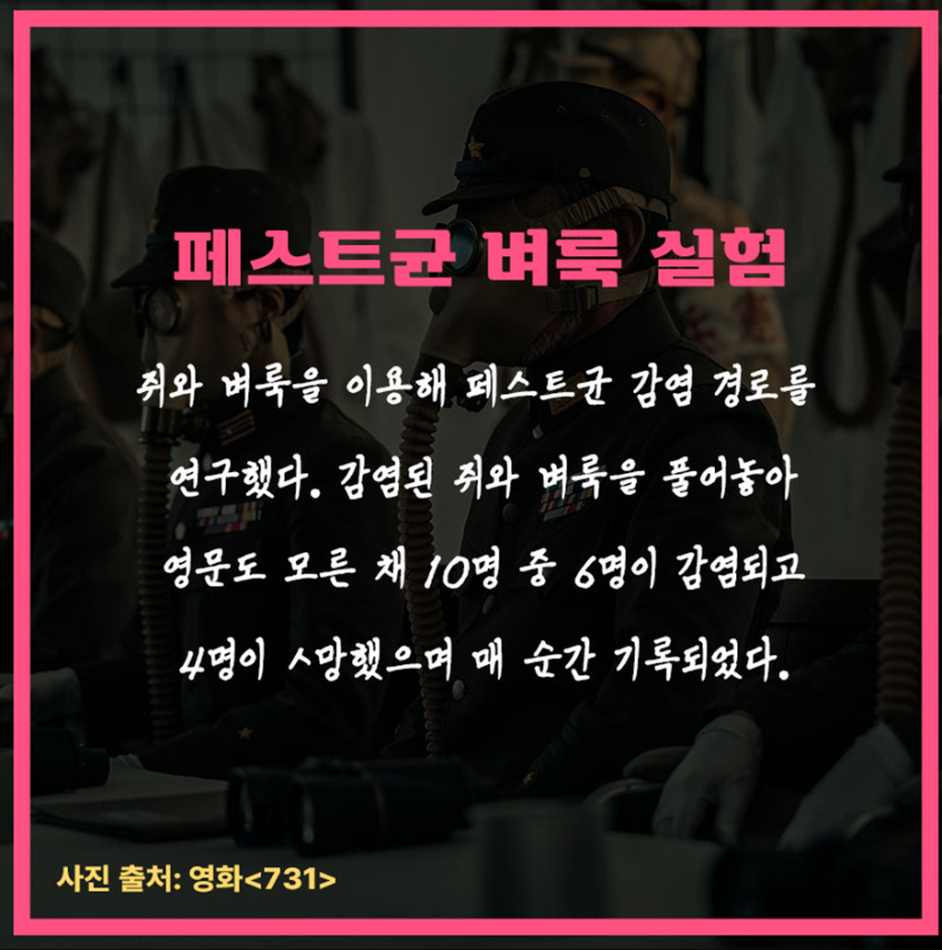 인스타에서 본 일본 추천 약들 실체