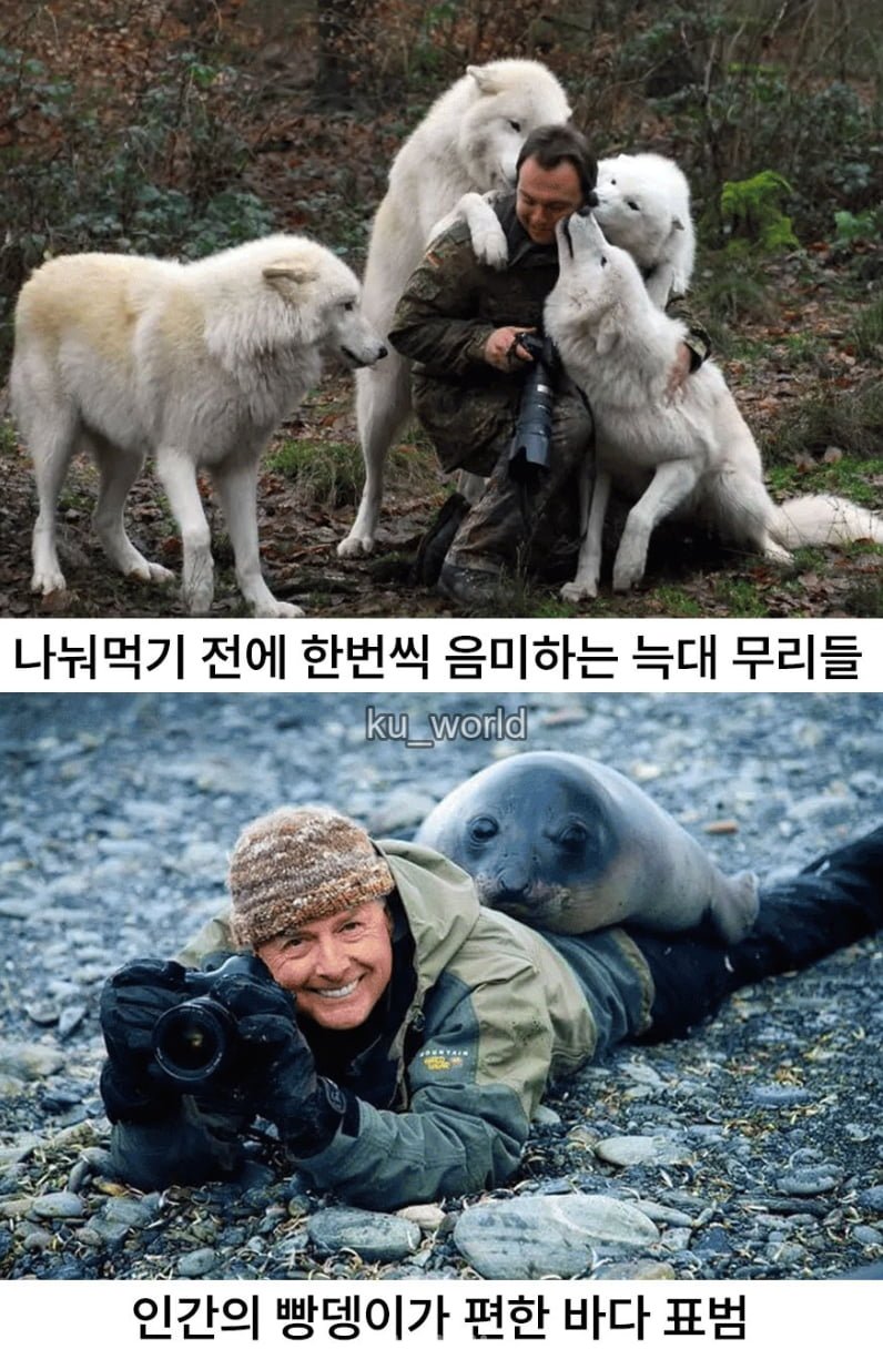 싱글벙글 동물다큐 촬영현장
