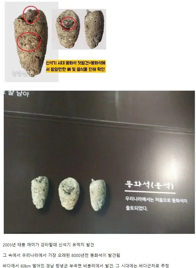 우리나라에서 가장 오래된 똥