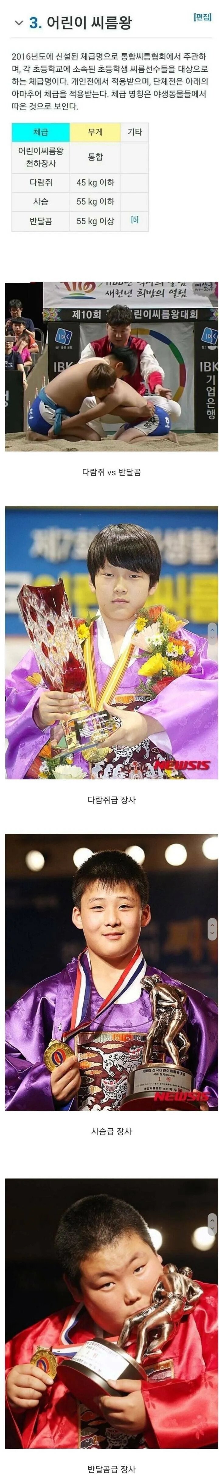 초등학생 씨름선수들 공식 체급명