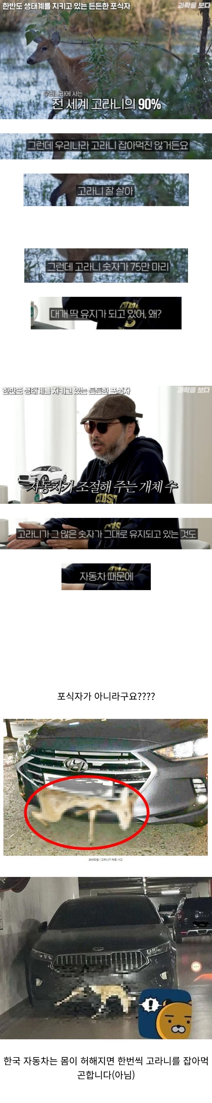 한반도 생태계를 지키고 있는 든든한 포식자(??)