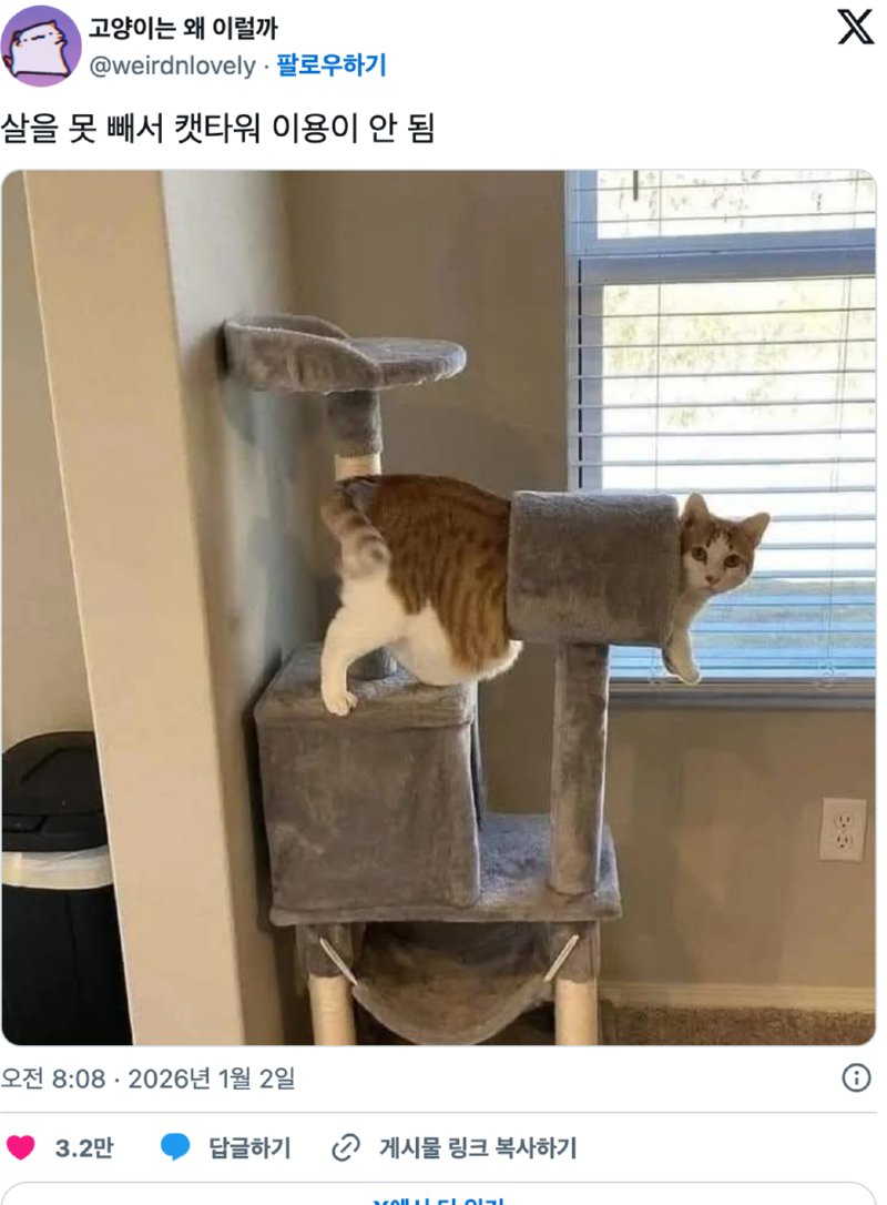 연말연시 끝나고 난 내 모습