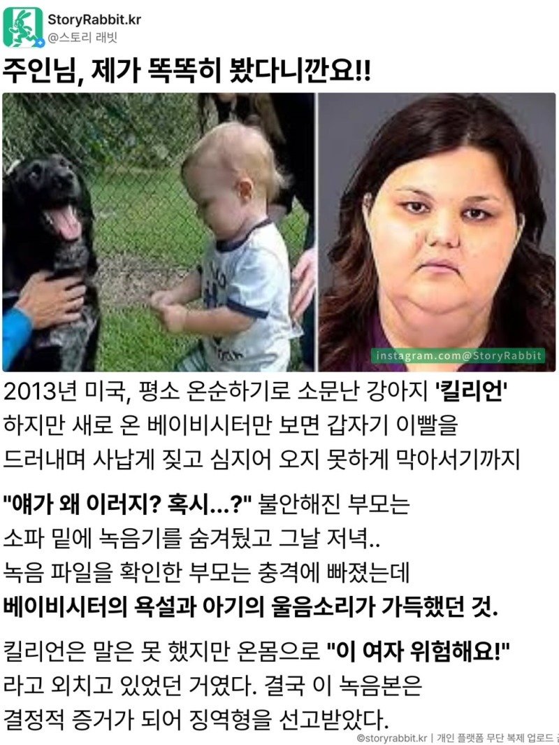 지가 두눈으로 똑똑히 봤슈