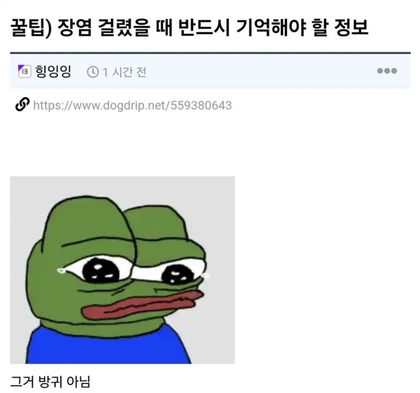 장염 걸렸을때 반드시 기억해야할 꿀팁