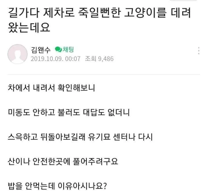 동물을 한번도 키워본적이 없는게 확실한 사람