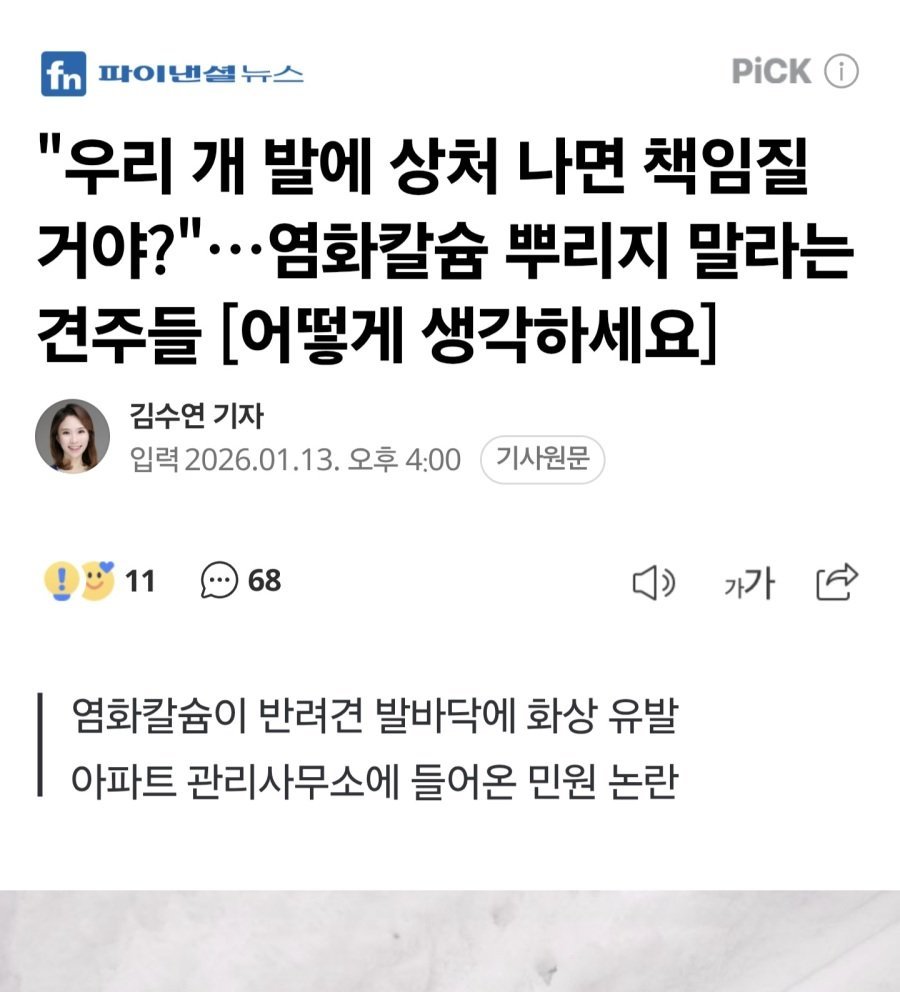 우리 개 다친다. 염화칼슘 뿌리지 말라는 견주들