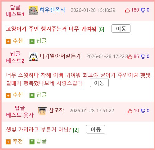 고양이가 하도 울길래 왜 이러나 했더니...