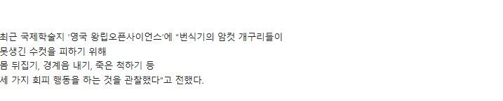 암컷 개구리 못생긴 수컷보면 죽은척 한다