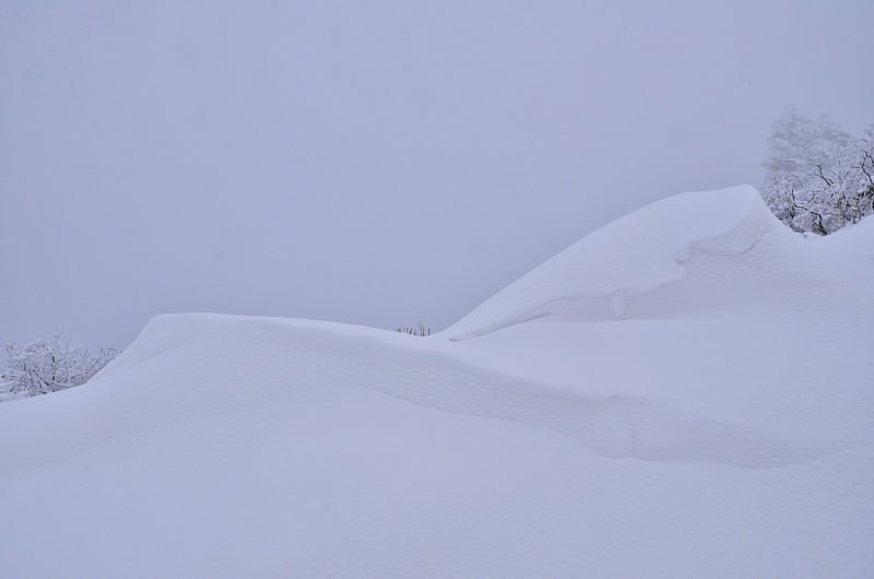 들꽃 3, 들꽃 시