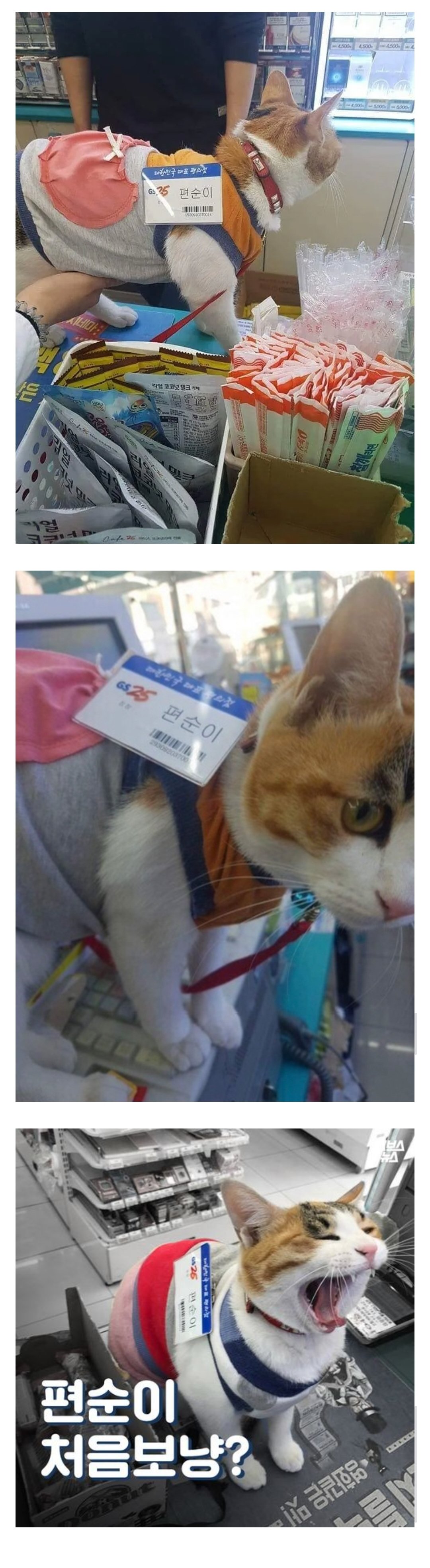 동네에서 인기 많다는 편순이