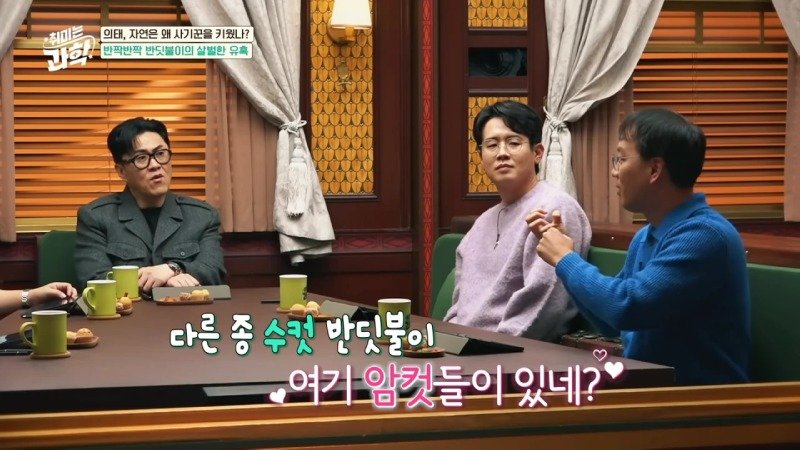 암컷 흉내로 수컷을 유인하는 종족