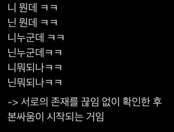 경상도 싸움의 특징.jpg