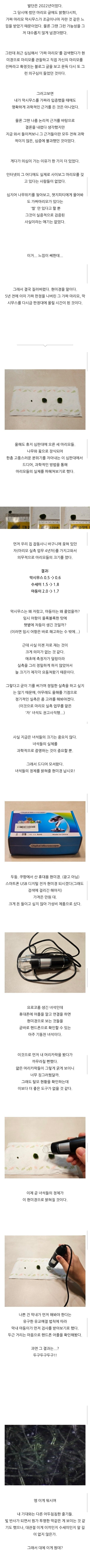 (스압) 반려이끼 - 진짜인가 가짜인가 5년만에 확인