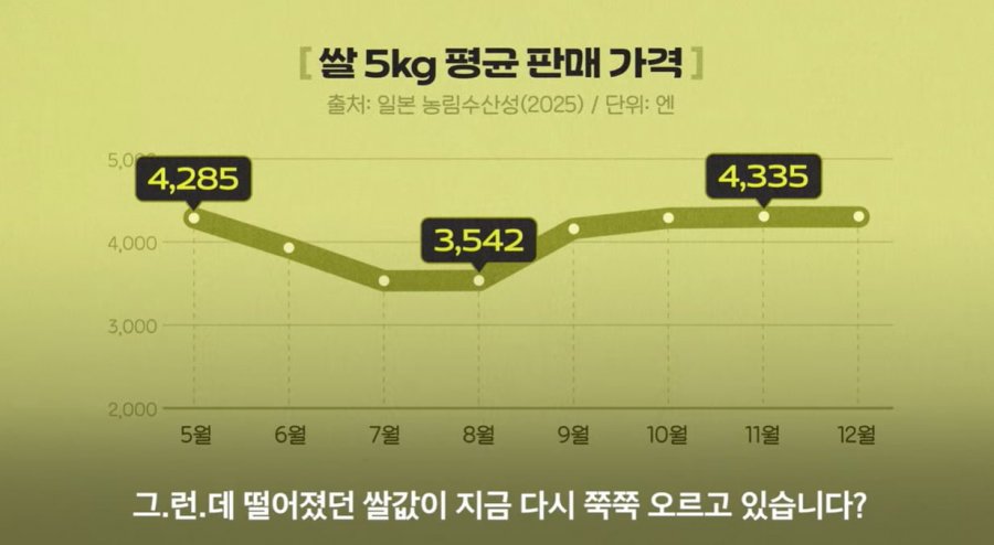 일본 쌀값, 이거 왜 다시 올라가는 거예요?