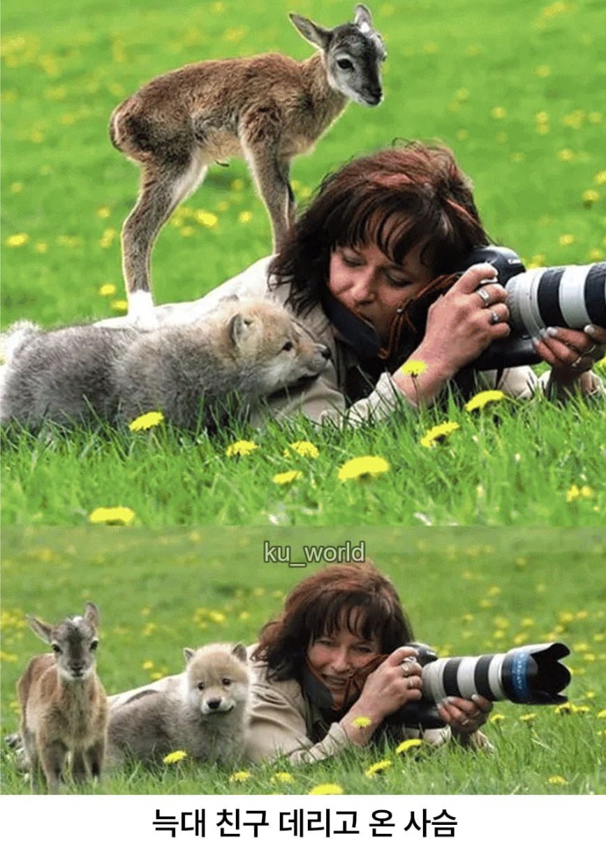 싱글벙글 동물다큐 촬영현장