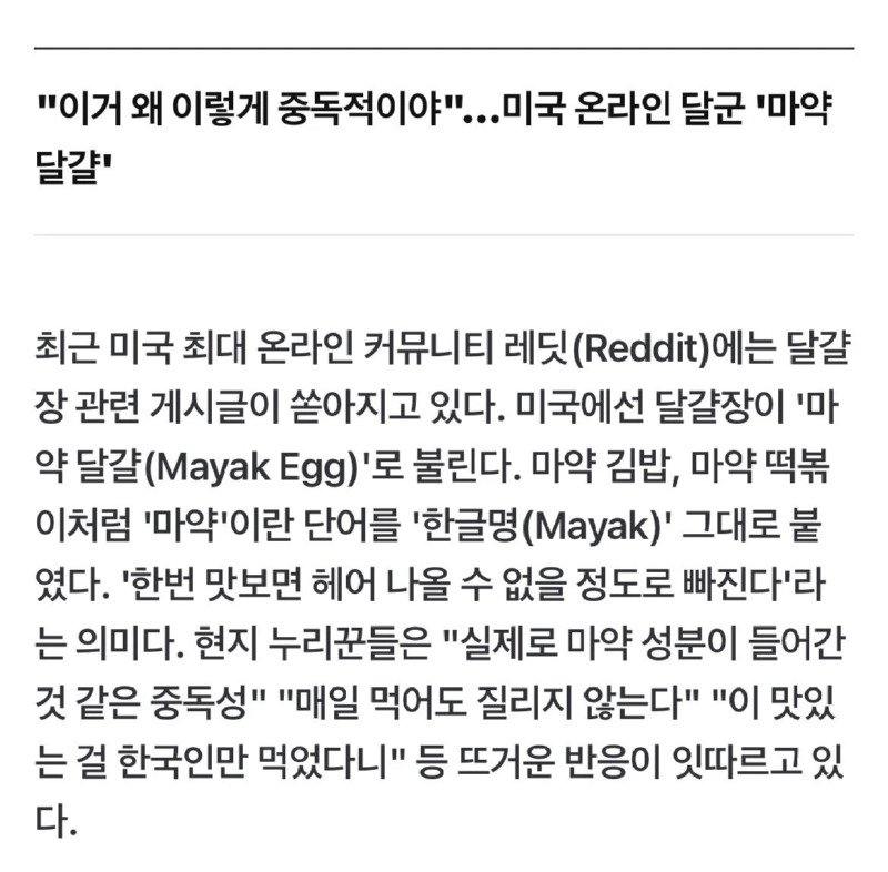 미국 계란장 열풍중