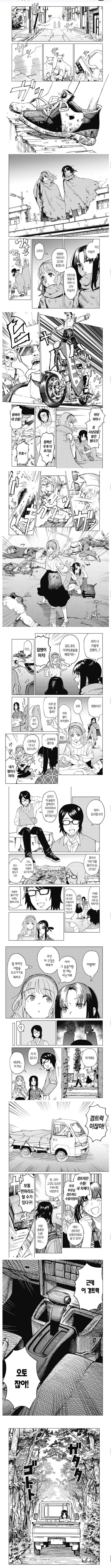 운전면허 반드시 1종보통 따야하는 이유