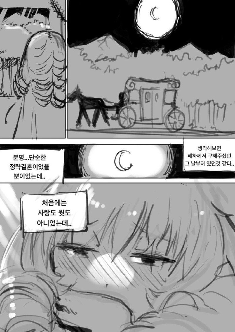 똑똑한 왕비와 멍청한 왕.Manhwa