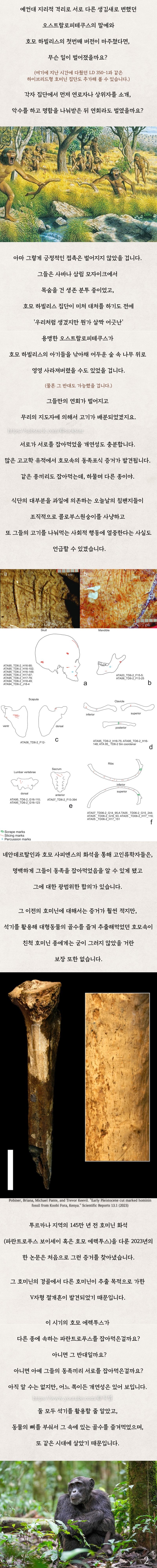 인류4) 옛날 사람들은 서로를 요리 재료로 봤을까?