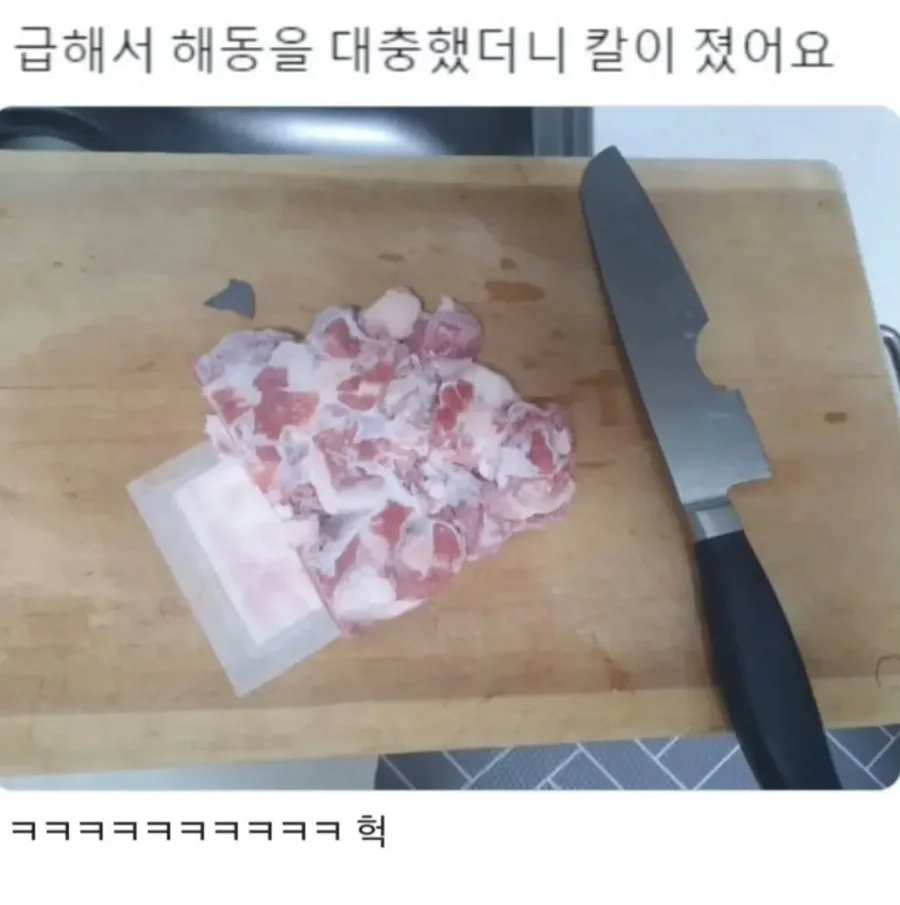 고기 급하게 해동했더니 칼이 졌다