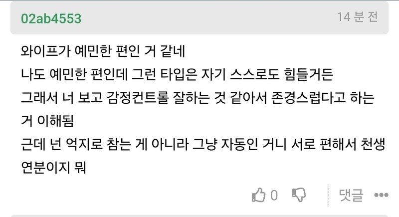 실제 여자가 생각하는 존경할만한 남편.JPG